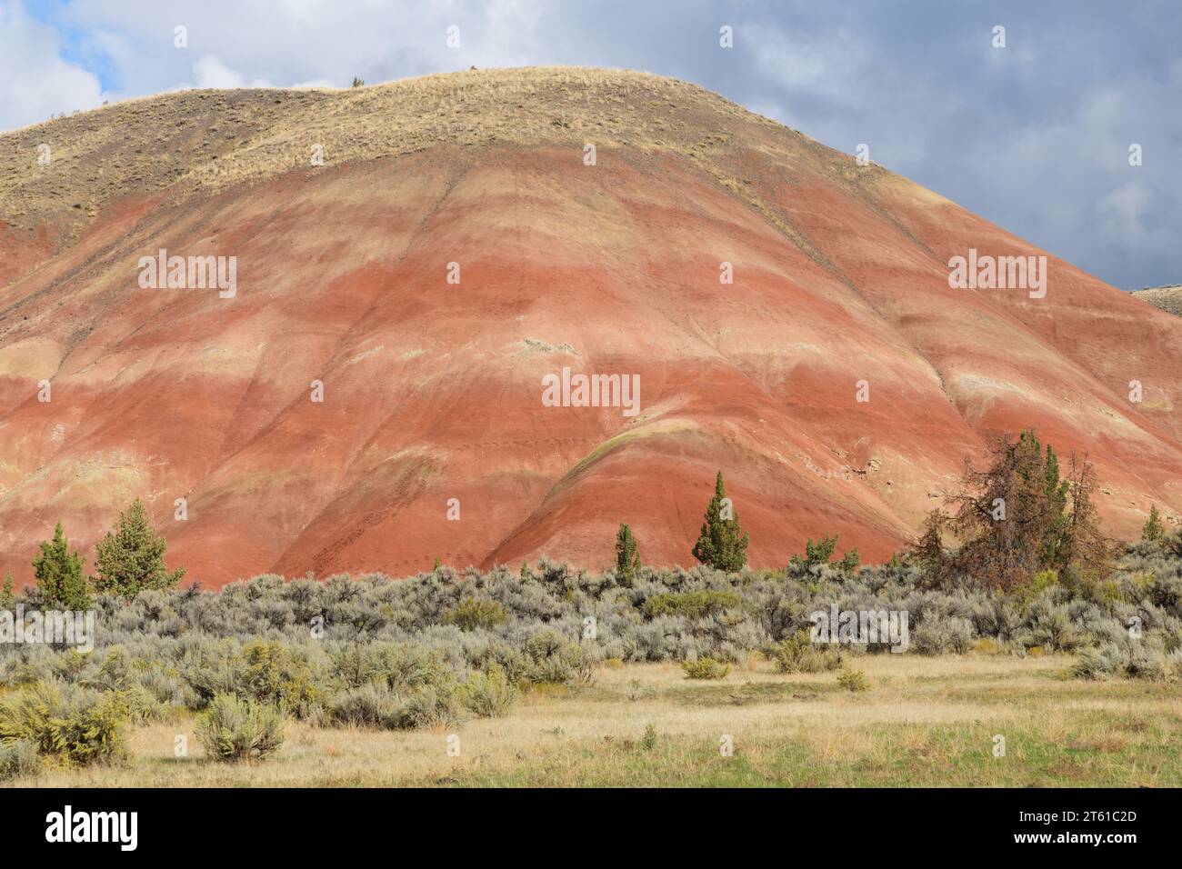 Rote und bräunliche Hügeltöne im Painted Hills Abschnitt des John Day Fossil Beds National Monument in Zentral-Oregon mit natürlichen warmen Farben am Hang Stockfoto