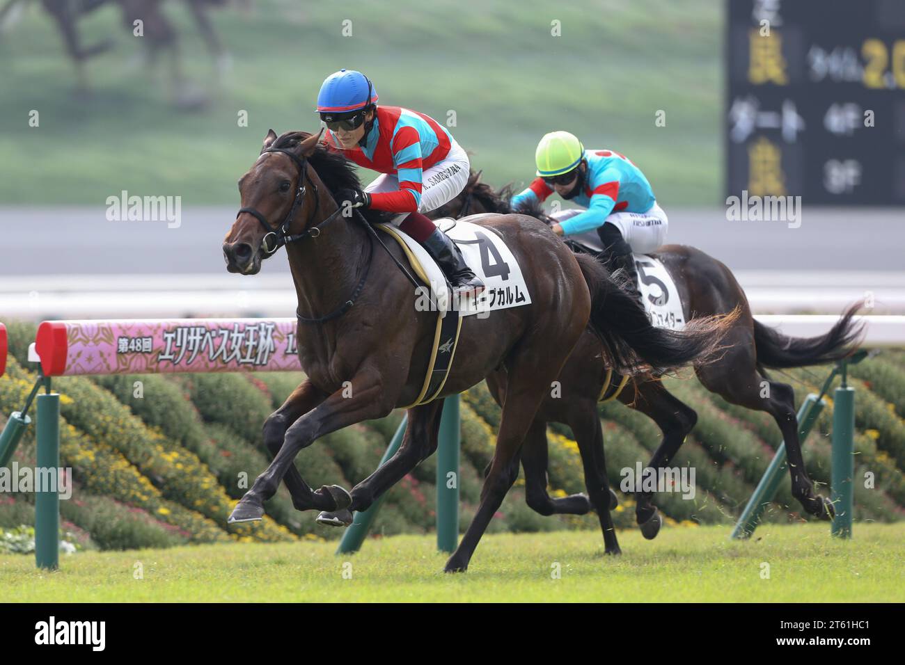 Kyoto, Japan. November 2023. 2023/11/04 KYOTO 04R Keep Calm/Katsuma Sameshima Jockey Kyoto Racecourse in Kyoto, Japan, 4. November 2023. Quelle: Eiichi Yamane/AFLO/Alamy Live News Stockfoto