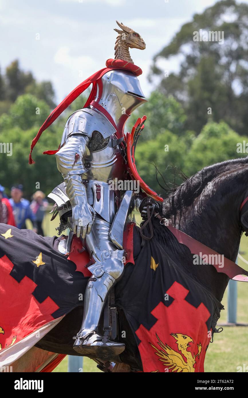 Ritterturnier. Mittelalterliche Ritter während eines Turniers. Ritterwettbewerb. Stockfoto