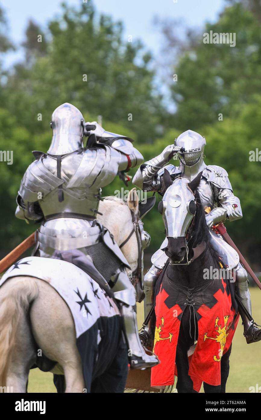 Ritterturnier. Mittelalterliche Ritter während eines Turniers. Ritterwettbewerb. Stockfoto