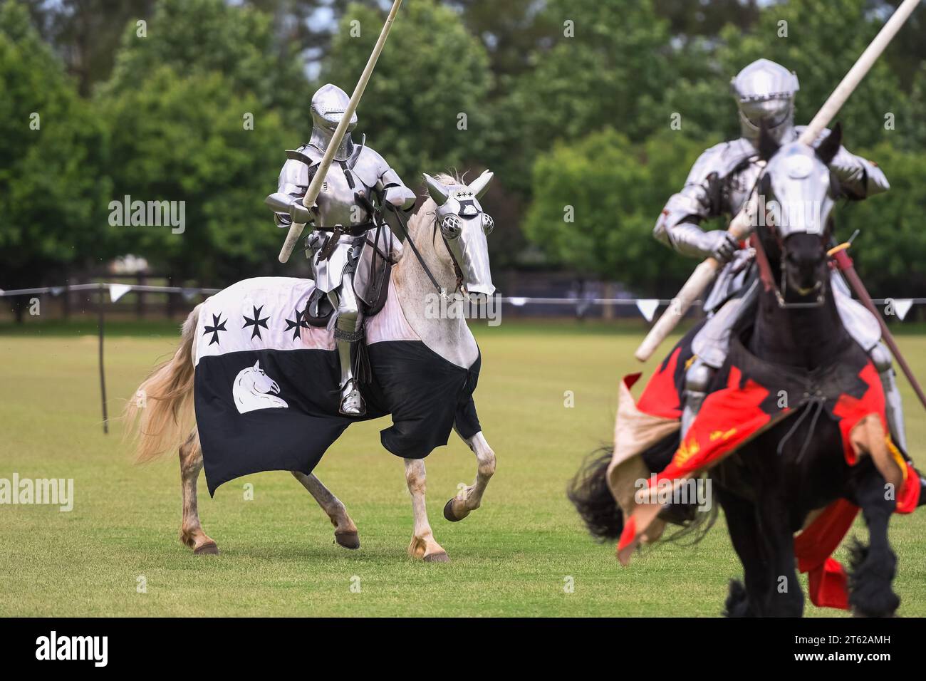 Ritterturnier. Mittelalterliche Ritter während eines Turniers. Ritterwettbewerb. Stockfoto