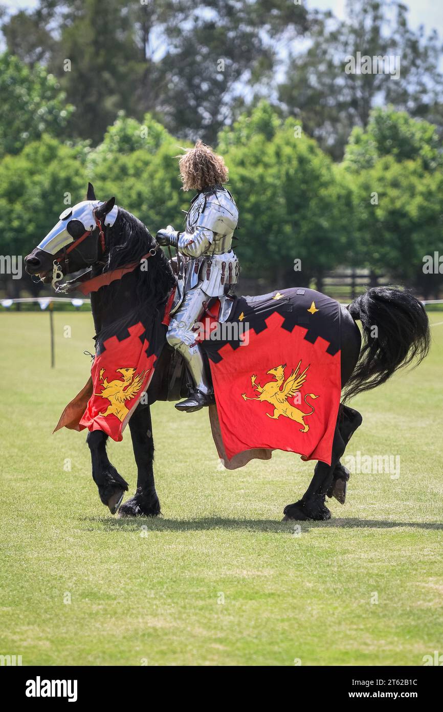 Ritterturnier. Mittelalterliche Ritter während eines Turniers. Ritterwettbewerb. Stockfoto