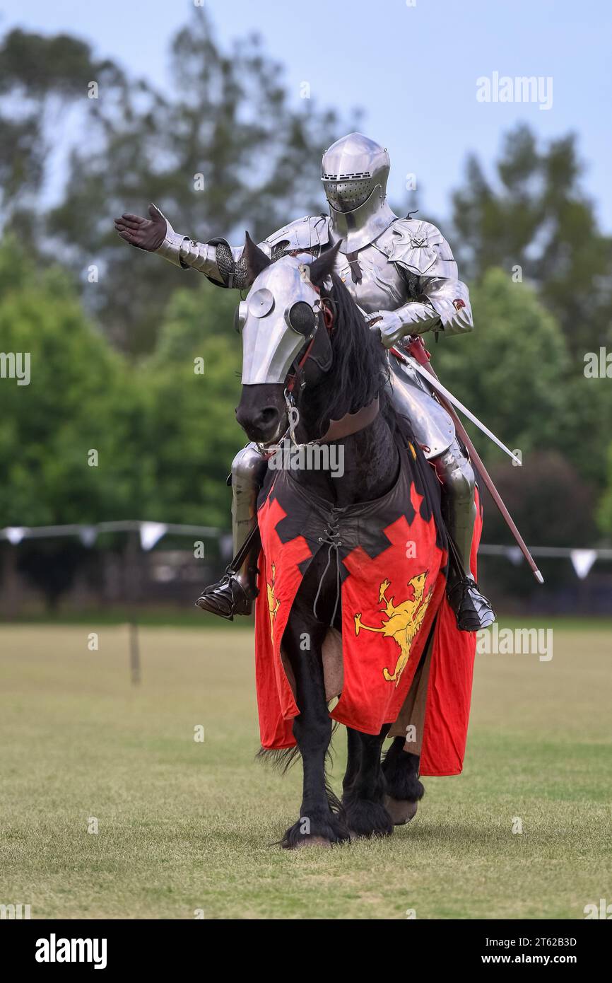 Ritterturnier. Mittelalterliche Ritter während eines Turniers. Ritterwettbewerb. Stockfoto