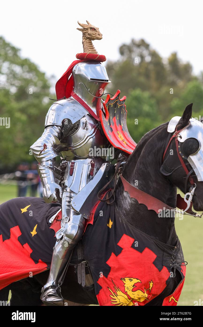 Ritterturnier. Mittelalterliche Ritter während eines Turniers. Ritterwettbewerb. Stockfoto