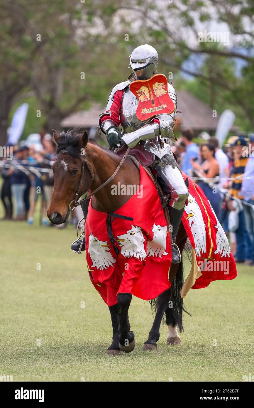 Ritterturnier. Mittelalterliche Ritter während eines Turniers. Ritterwettbewerb. Stockfoto