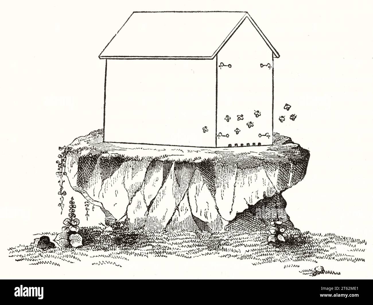 Bienenkasten auf felsigem Steinsockel, Bienen fliegen herum, isoliert auf glattem Hintergrund, flache Sicht. Holzstich, Paris, 1849. Stockfoto