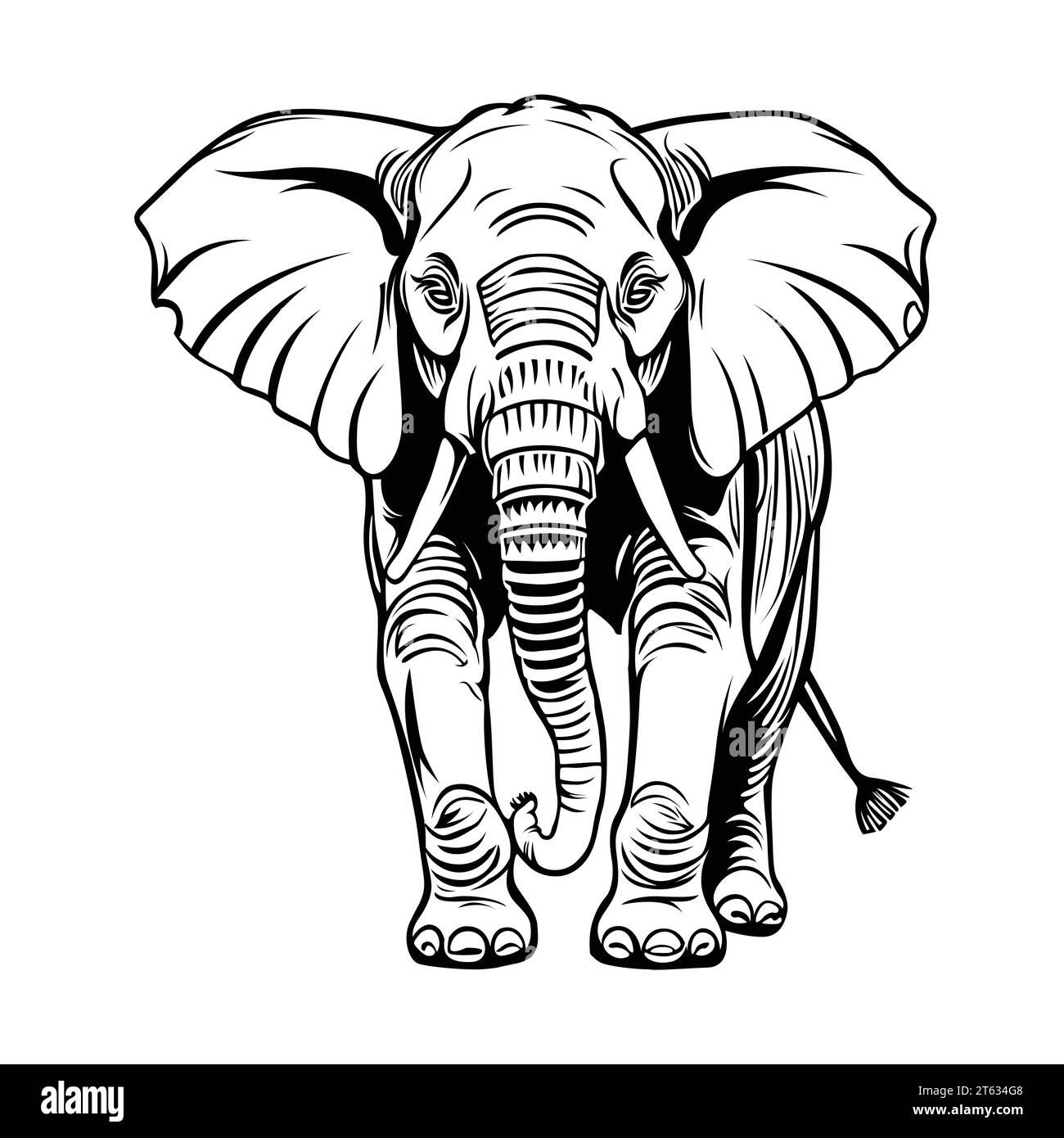 Elefantenumrisszeichnung im Vektorformat Stock Vektor