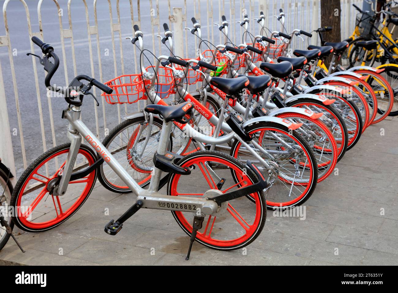 Peking - 2. Februar 2017: Fahrräder auf den Straßen teilen, Peking, China Stockfoto