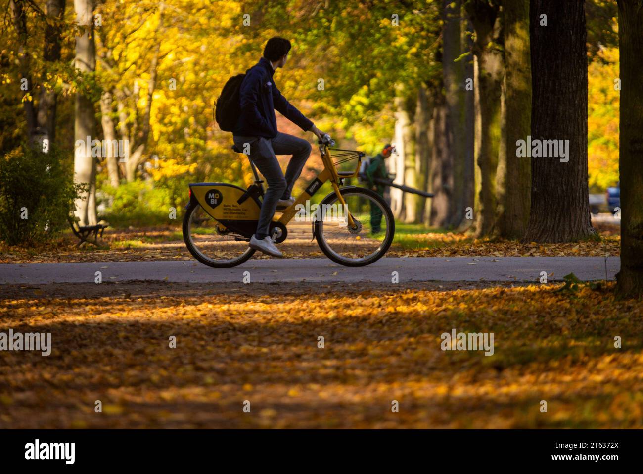 Großer Garten im Herbst der große Garten in Dresden ist eine Parkanlage