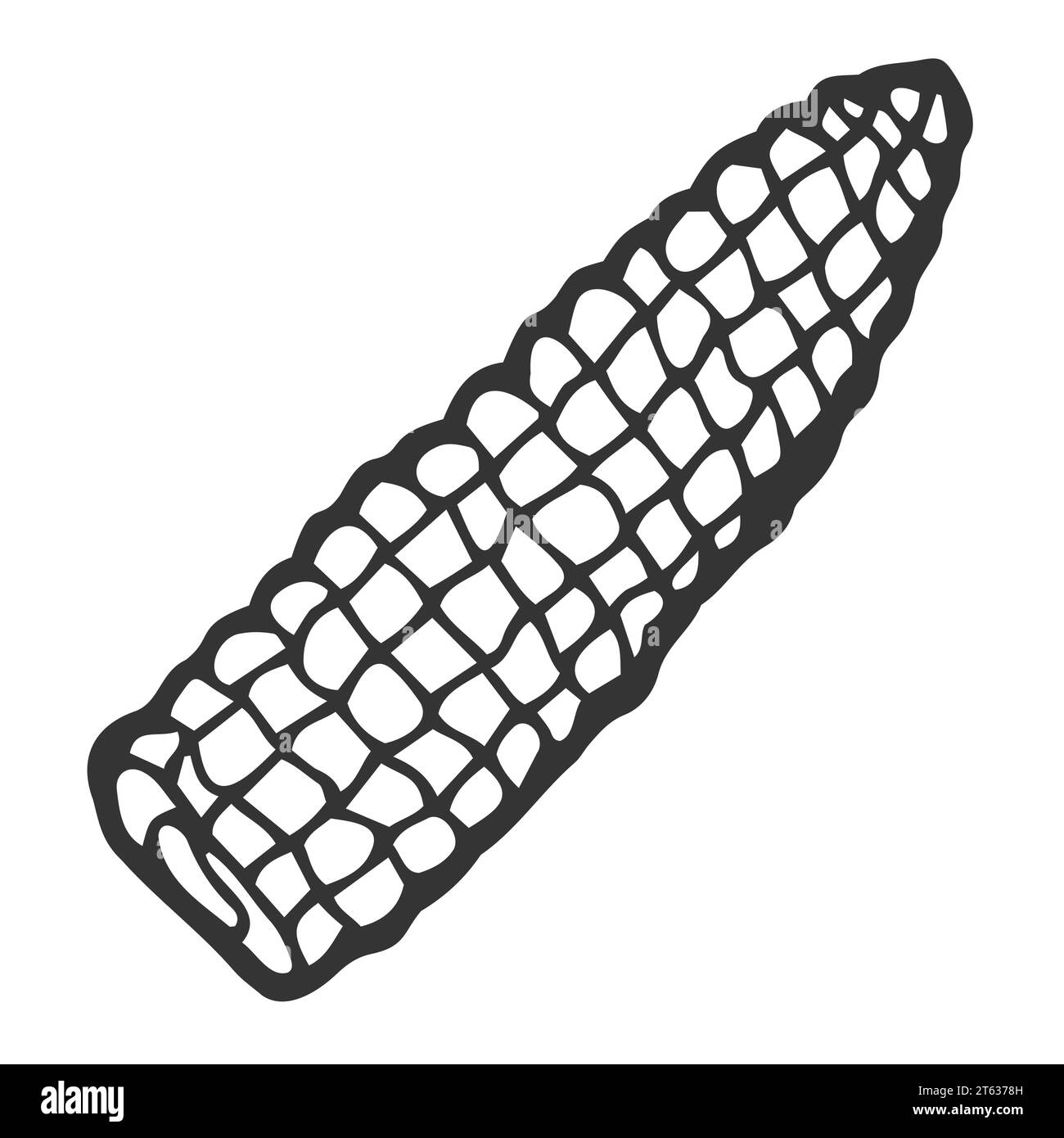 Vektor Hand gezeichnet Popcorn Maiskolben Umriss Kritzelsymbol ...