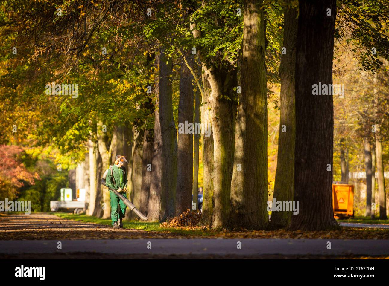 Großer Garten im Herbst der große Garten in Dresden ist eine Parkanlage