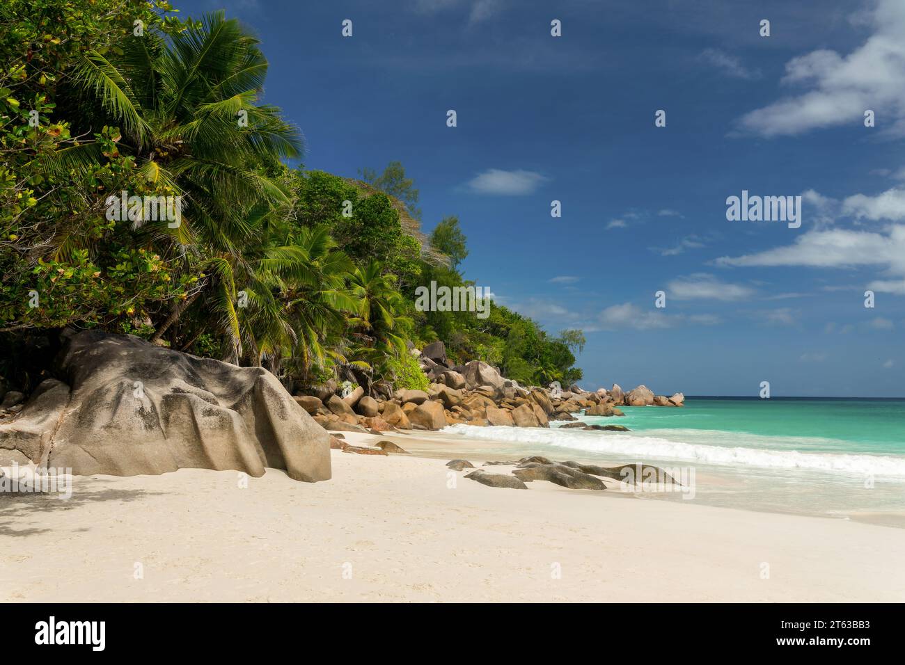 Palmen und Granitfelsen am malerischen Strand von Anse Georgette auf der Insel Praslin, Seychellen Stockfoto