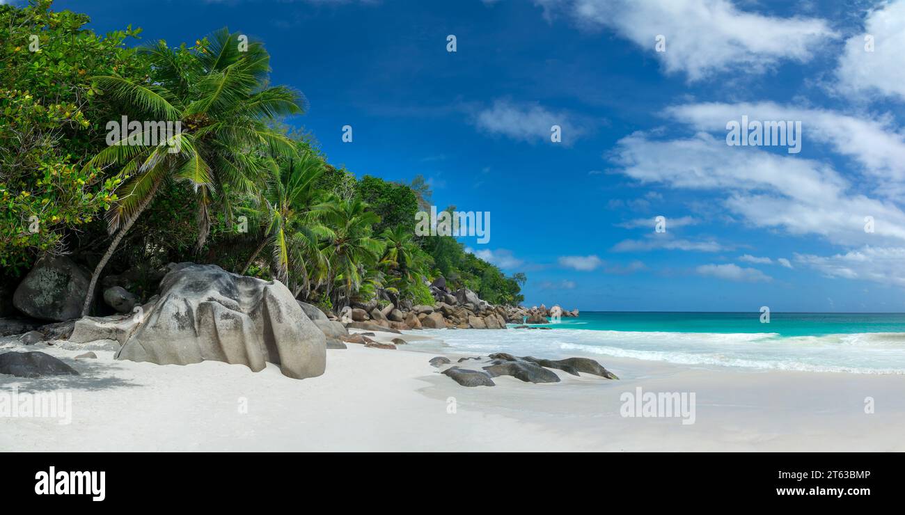 Palmen und Granitfelsen am malerischen Strand von Anse Georgette auf Praslin Island, Seychellen Panorama Stockfoto