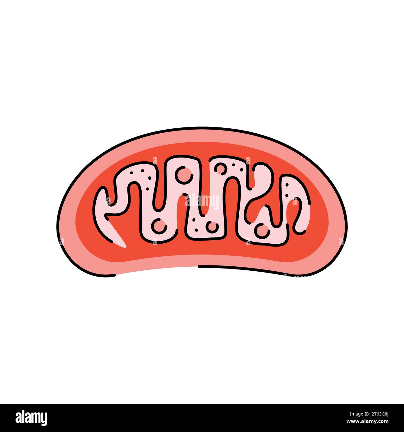 Symbol für die Farblinie der Organelle. Organisation im Organismus. Vektorisoliertes Element. Bearbeitbare Kontur. Stock Vektor