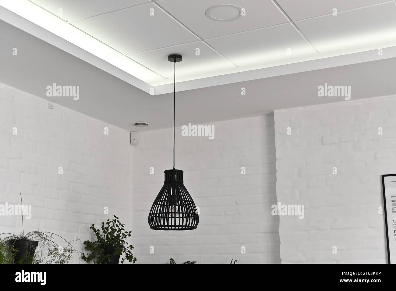 Lampen auf langen Kabeln vor der Tür in einem hellen Innenraum, Elemente der Beleuchtung und der Inneneinrichtung. Stockfoto
