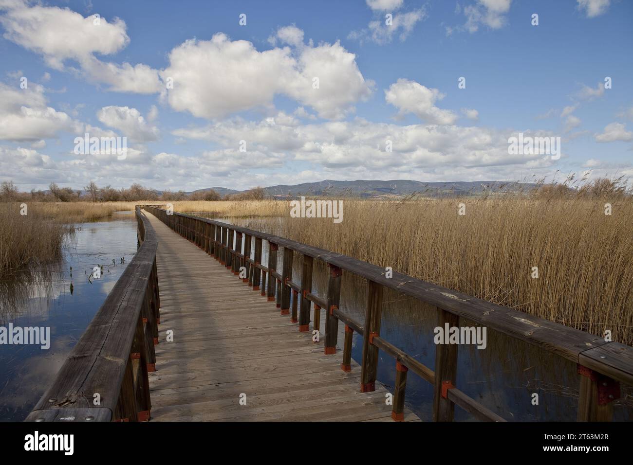 Eine lange Holzbrücke erstreckt sich über ruhiges Wasser in Feuchtgebieten, umgeben von hohen Schilf, mit Bergen und einem blauen Himmel mit Wolken im Hintergrund in CIU Stockfoto