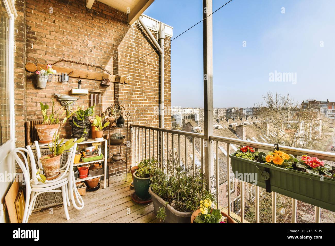 Verschiedene Topfpflanzen mit Stühlen und Regalen an einer Backsteinwand auf dem Balkon des modernen Hauses mit Blick auf die Stadt und den blauen Himmel Stockfoto