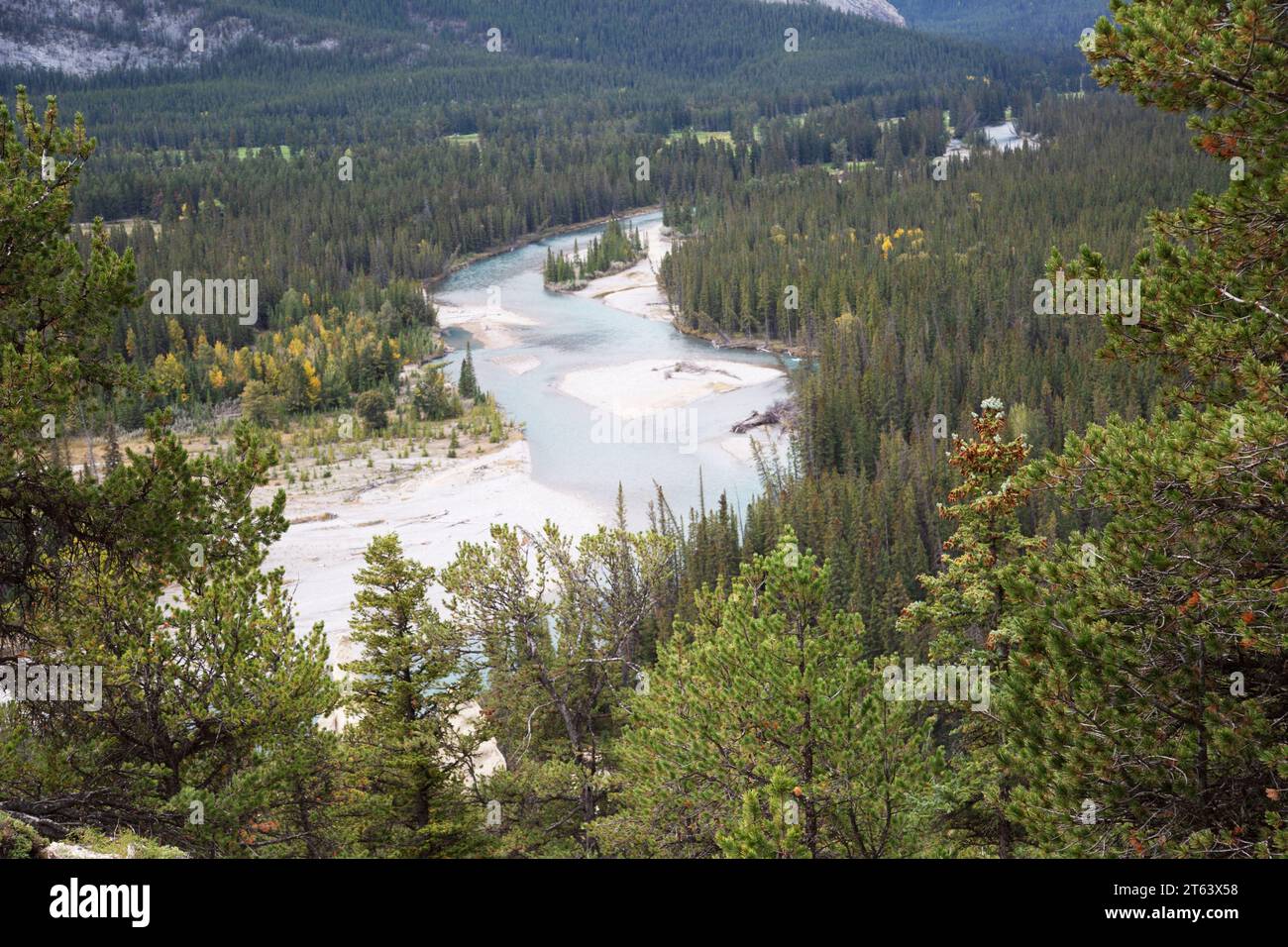 Die Hoodoos im Bow Valley, neben dem Bow River Banff National Park, Alberta, Kanada. Stockfoto