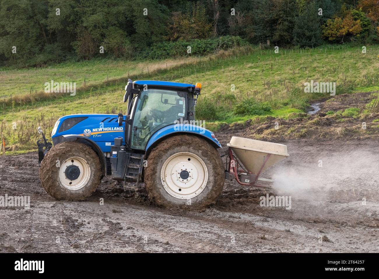 Verwenden eines Traktors mit Düngemittelstreuer zum Auftragen einer Dichtschicht aus Natriumbentonit-Tongranulat, um einen neu gegrabenen Teich abzudichten (UK) Stockfoto