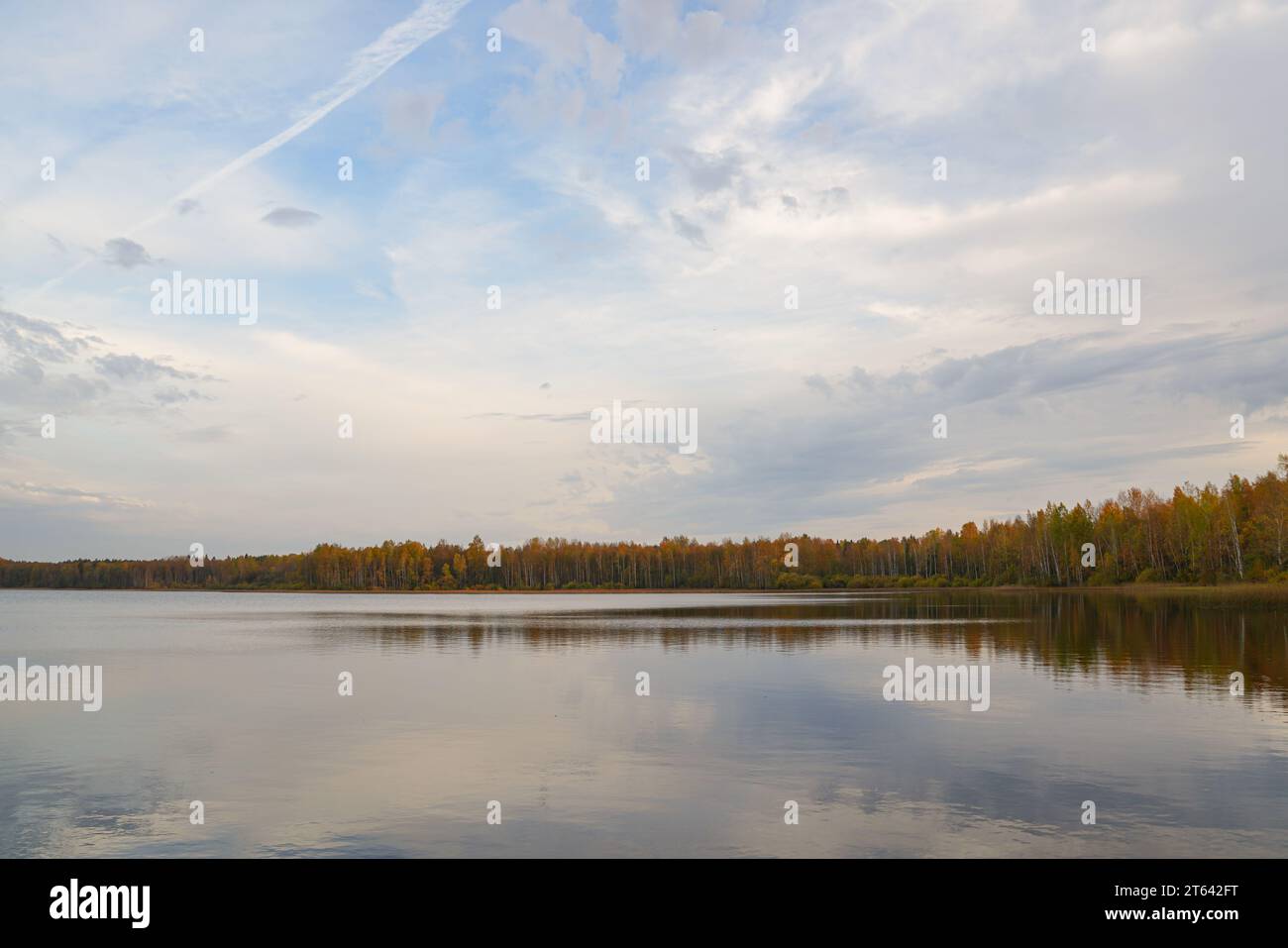 Reflexion des Himmels und der gelben Farben des Herbstes im See vor Sonnenuntergang Stockfoto