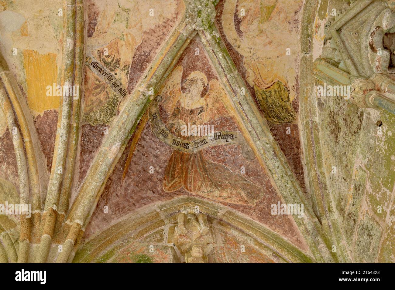 Mittelalterliches gotisches Fresko des Engels, Chapelle de Kermaria an Isquit, mittelalterliche Matthias-Statue Holzschnitzerei, Bretagne, Bretagne, Bretagne, Frankreich Stockfoto