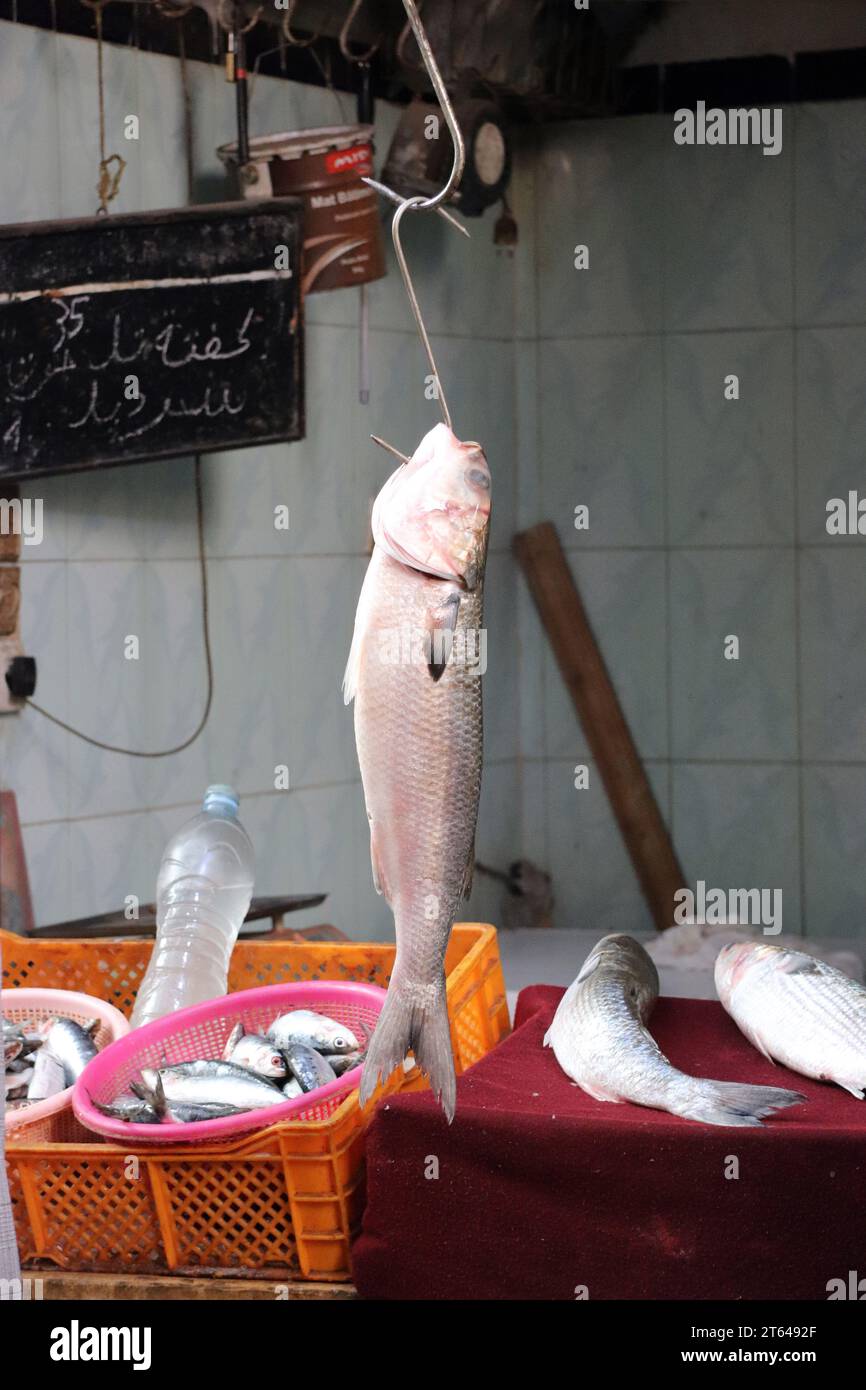 Fisch zum Verkauf im Souk Marrakesch.marokko Stockfoto