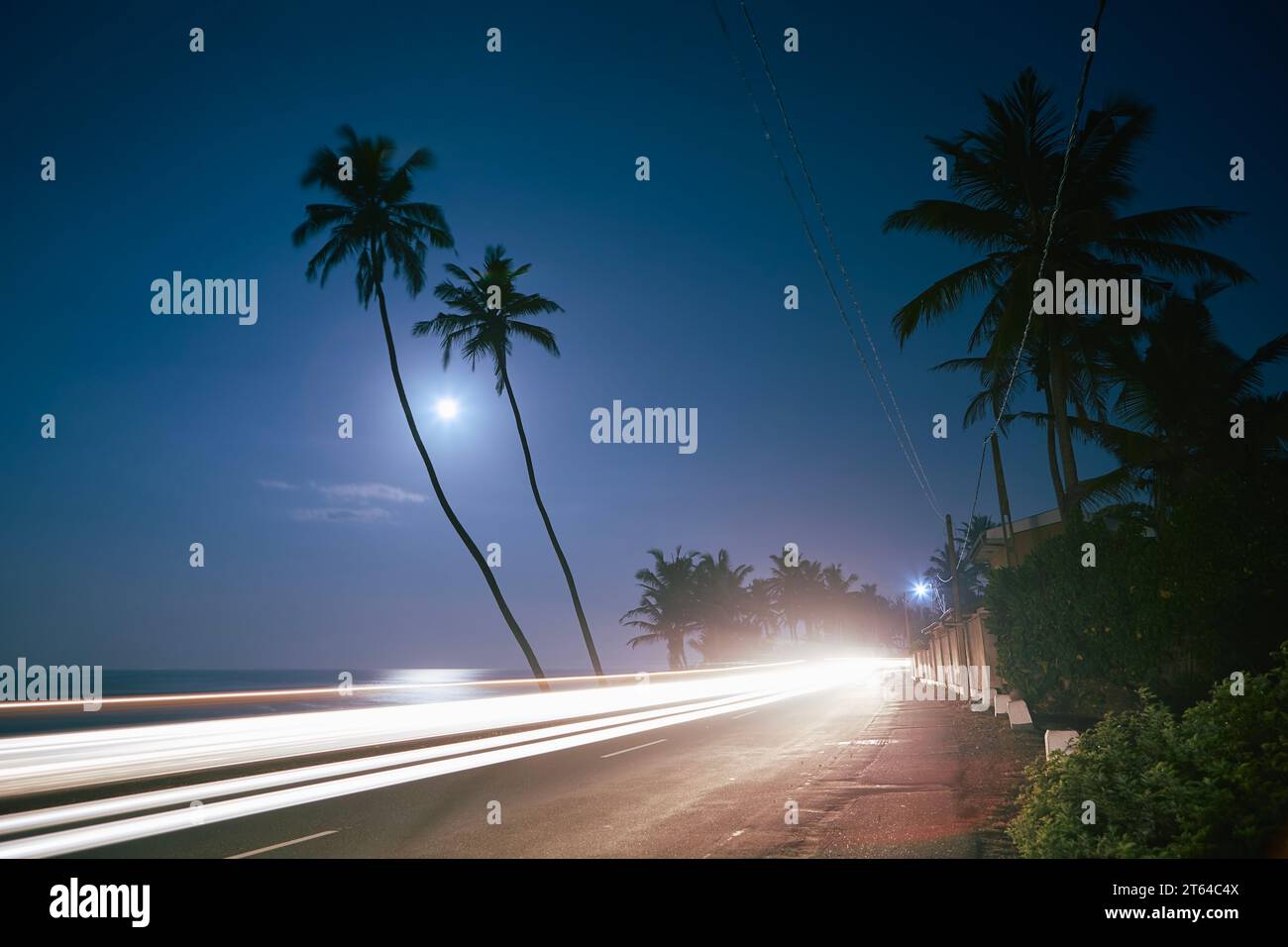 Leichte Spur des Autos auf der Küstenstraße bei Vollmond Nacht. Küste mit Paml-Bäumen in Sri Lanka. Stockfoto