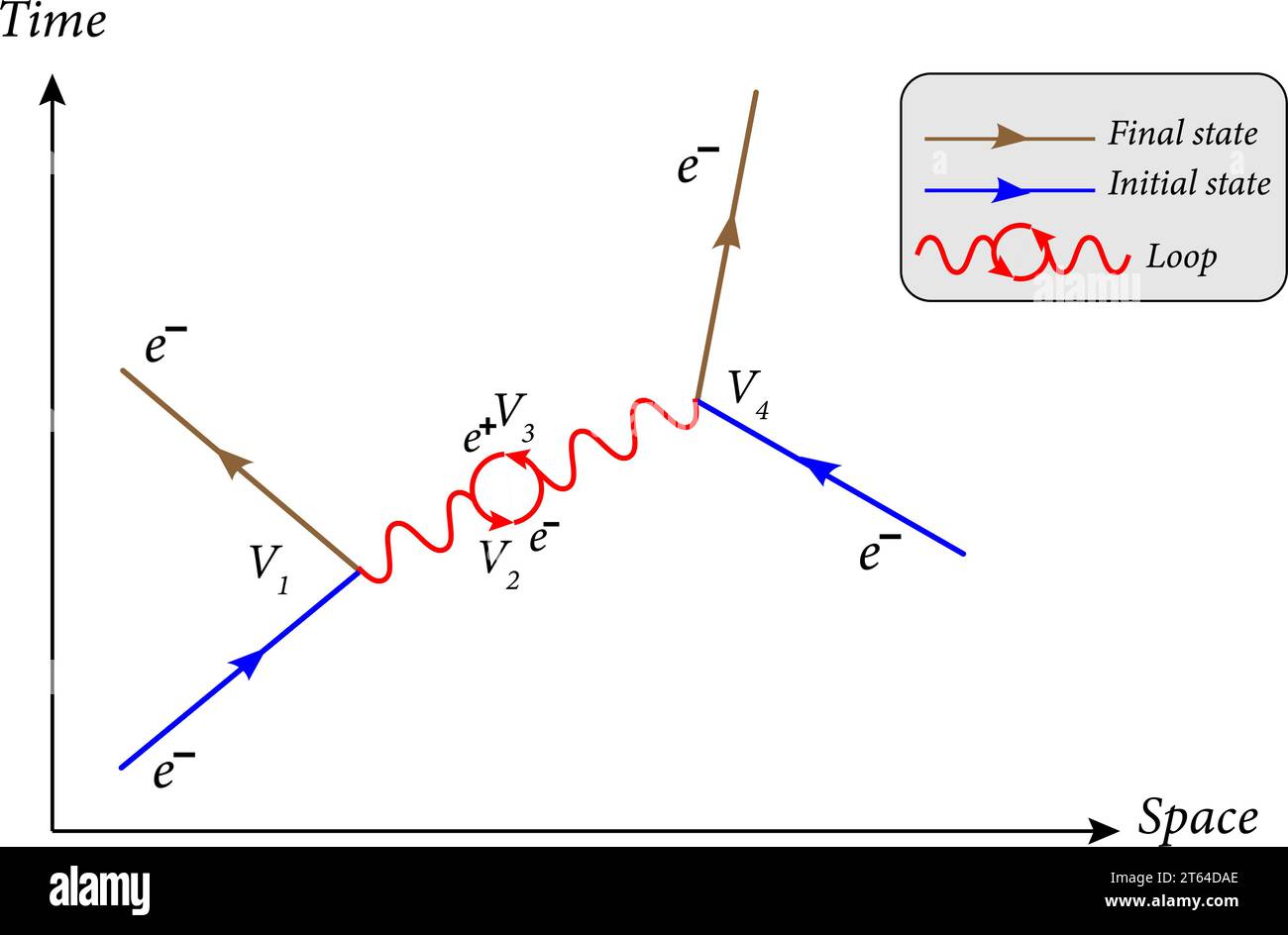 Feynman-Diagramm ist eine grafische Methode zur Darstellung der Wechselwirkungen von Elementarteilchen. Vektorillustration Stock Vektor