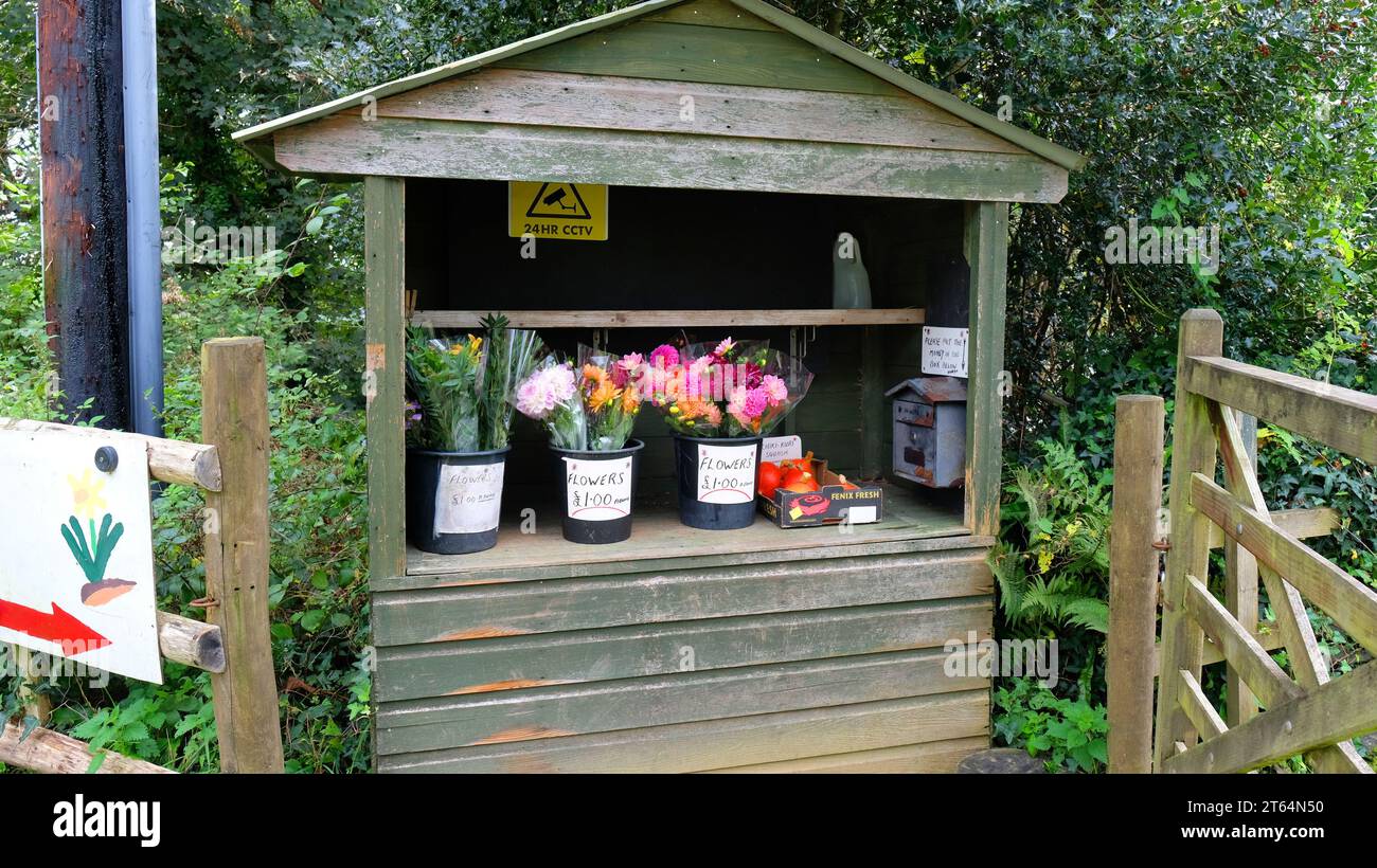 Straßenstand mit Schnittblumen - John Gollop Stockfoto