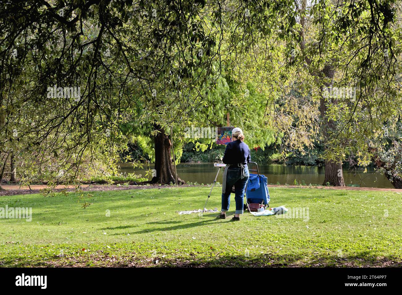 Hinterer Blickwinkel einer Künstlerin mittleren Alters, die den Blick auf die Herbstbäume und die Parklandschaft am Seeufer in Kew Gardens, West London England, Großbritannien, malte Stockfoto