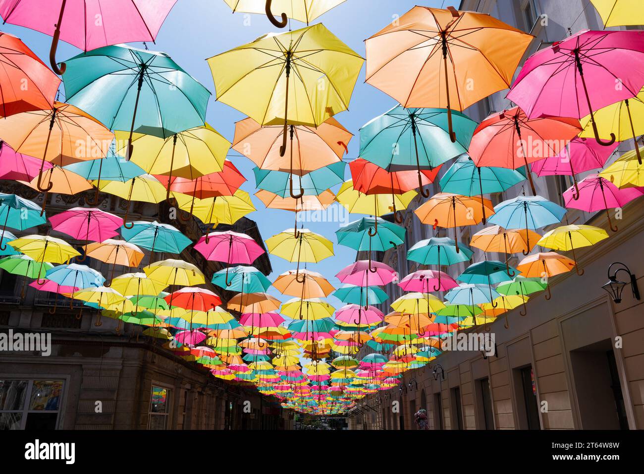 Bunte Regenschirme über einer Straße in Timisoara (Rumänien) Stockfoto