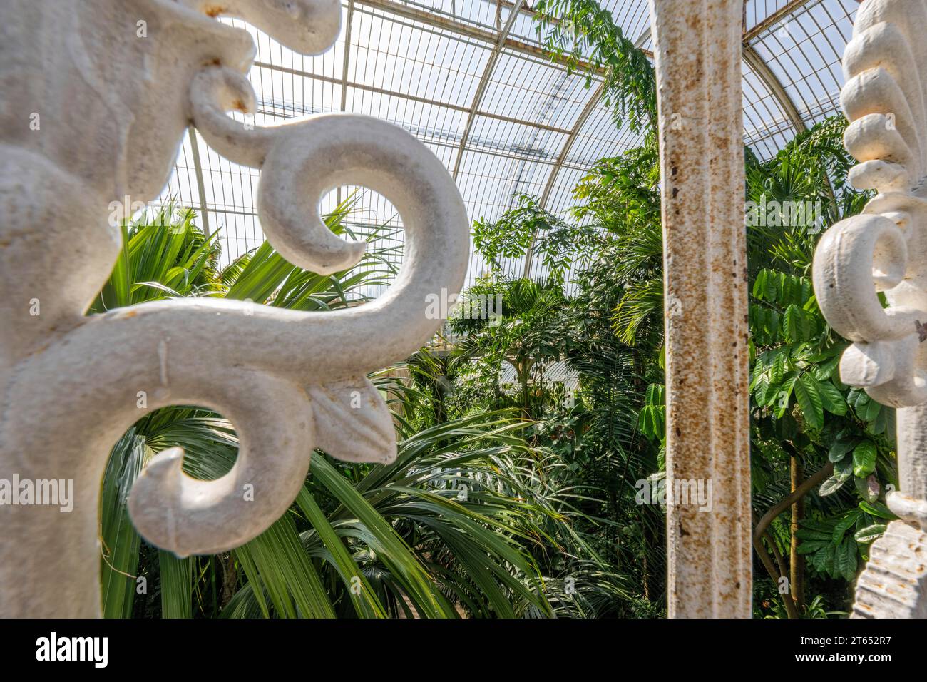 Geländer, Palm House, ältestes viktorianisches Gewächshaus der Welt, Royal Botanic Gardens, Kew, London, England, Großbritannien Stockfoto