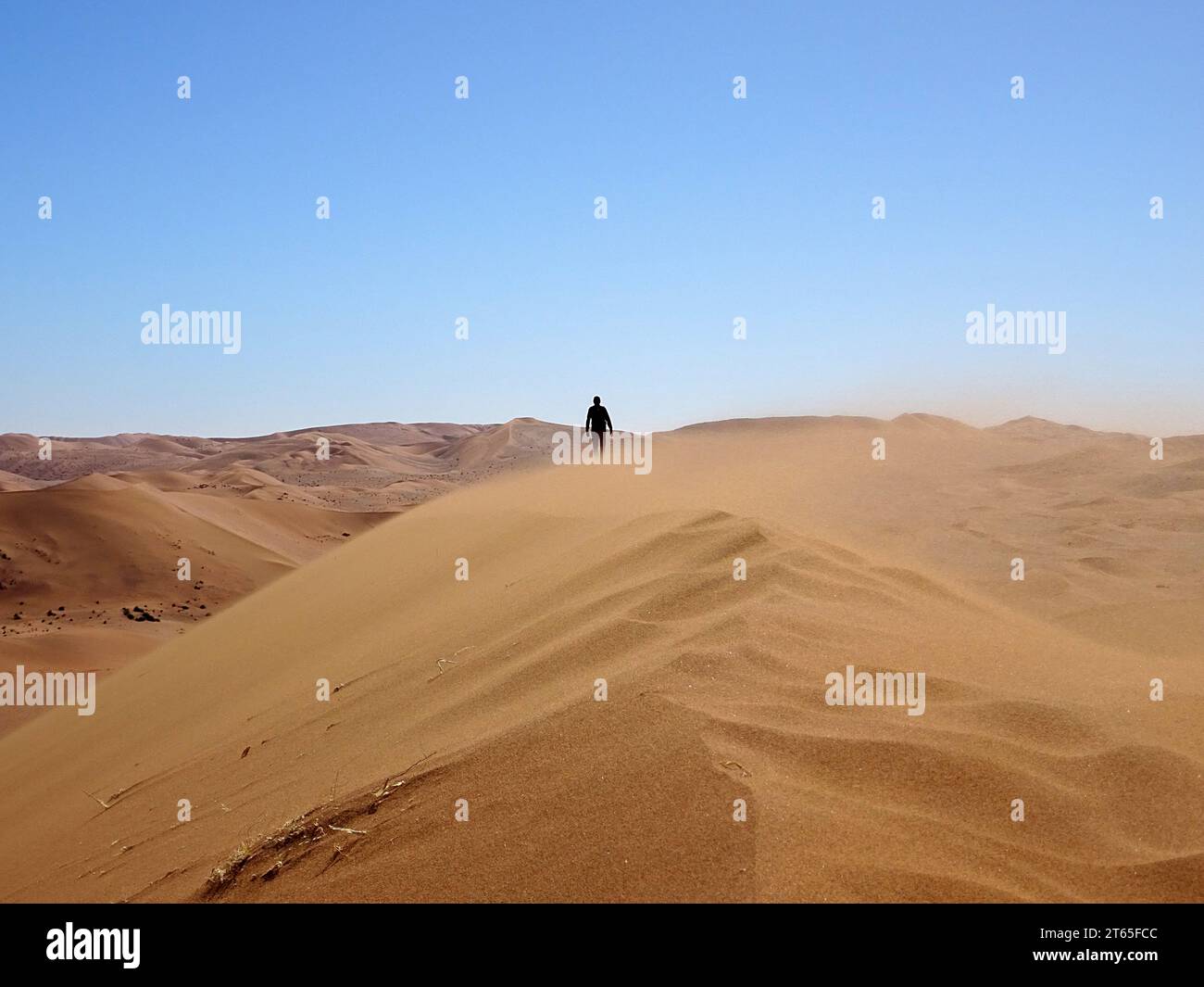 Ein Mann, der eine Sanddüne in der Nähe von Deadvlei im Namib-Naukluft-Nationalpark in der Nähe von Sesriem, Namibia, hinaufläuft Stockfoto
