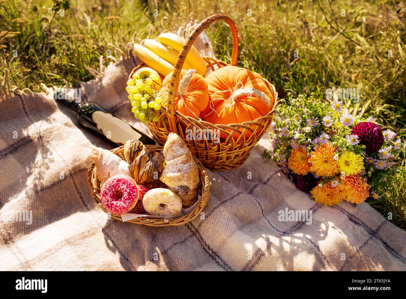Picknick in der Natur. Ein Korb mit Kürbissen, Eicheln, Bananen und Äpfeln liegt auf einem Karo in einer Zelle, daneben befindet sich ein Korb mit Süßigkeiten wie Croissants Stockfoto