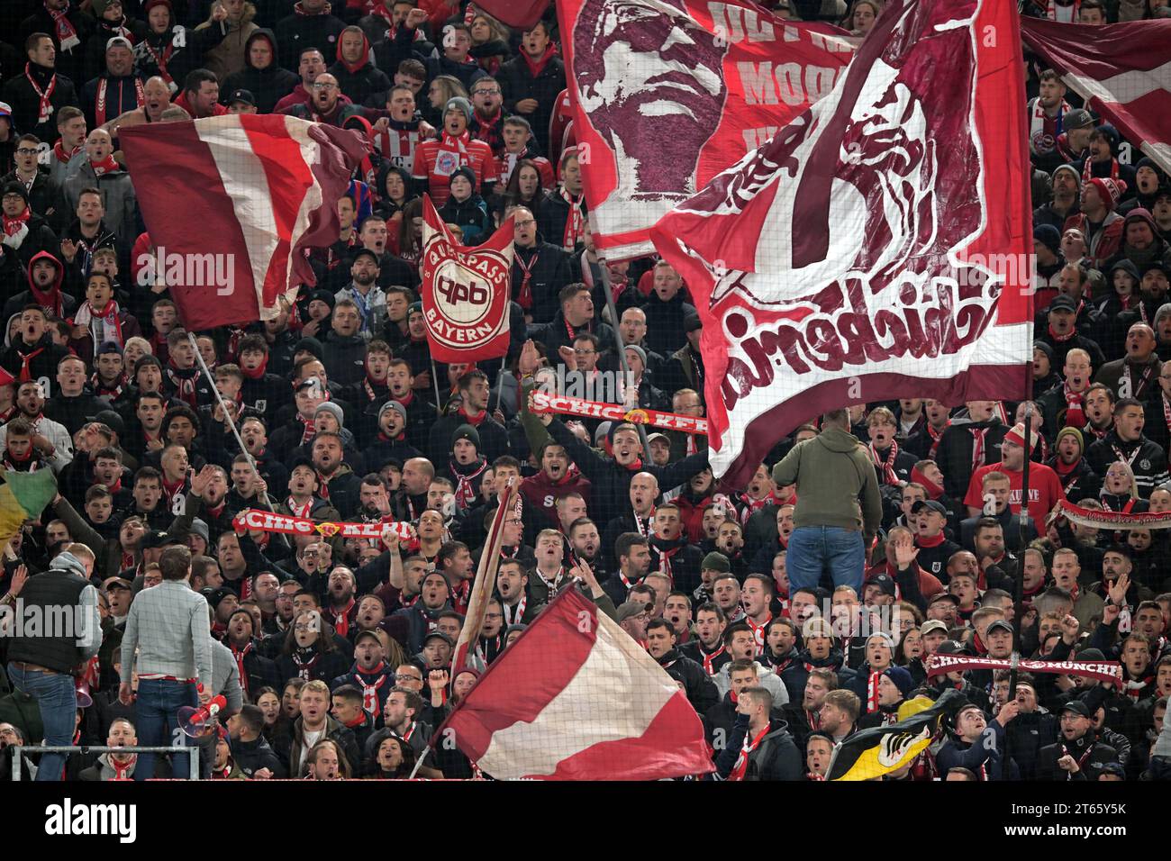 DORTMUND - Bayern München Fans beim Bundesliga-Spiel zwischen Borussia Dortmund und FC Bayern MŸnchen im Signal Iduna Park am 4. November 2023 in Dortmund. ANP | Hollandse Hoogte | GERRIT VAN COLOGNE Stockfoto