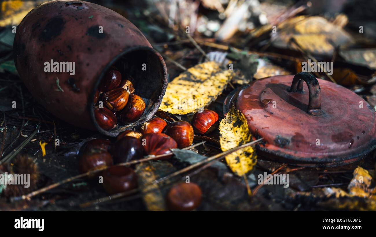 Auflauf tintenfisch -Fotos und -Bildmaterial in hoher Auflösung – Alamy