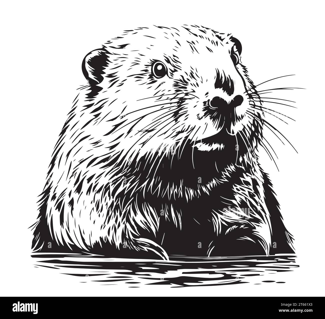 Biber Gesicht Skizze Hand gezeichnet Vektor Illustration wilde Tiere ...