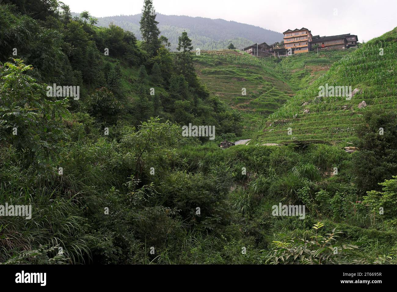 龙胜镇 (龙胜县) 中國 Longsheng Reisterrassen, Longji Ping'an Zhuang, China; ein chinesisches Dorf in den Bergen, umgeben von Reisfeldern; 一個被稻田包圍的山上的中國村莊 Stockfoto