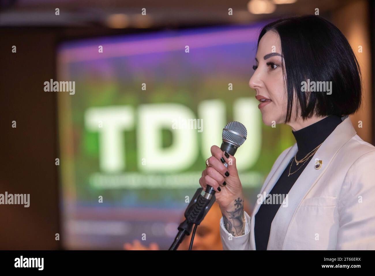 Chicago, Illinois - Teamsters Vice President Lindsay Dougherty spricht auf der jährlichen Konferenz von Teamsters for a Democratic Union. Als Direktor des Stockfoto