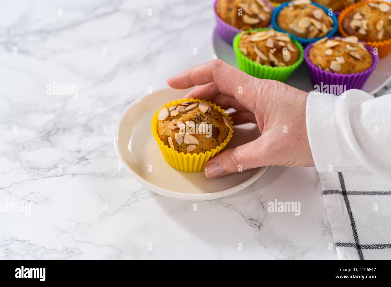 Muffins aus Zitronenmohn, garniert mit Mandelsplittern Stockfoto