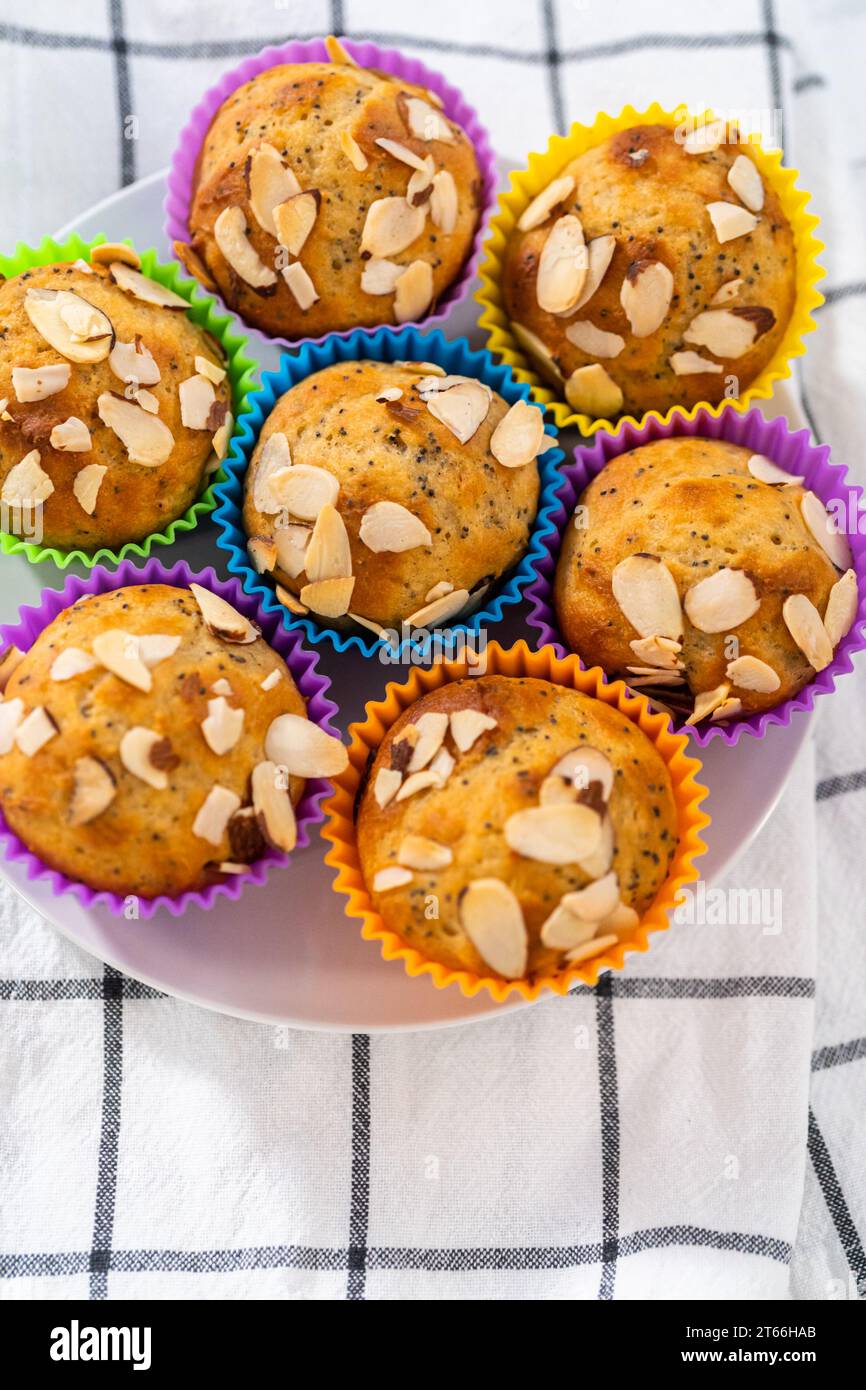 Muffins aus Zitronenmohn, garniert mit Mandelsplittern Stockfoto