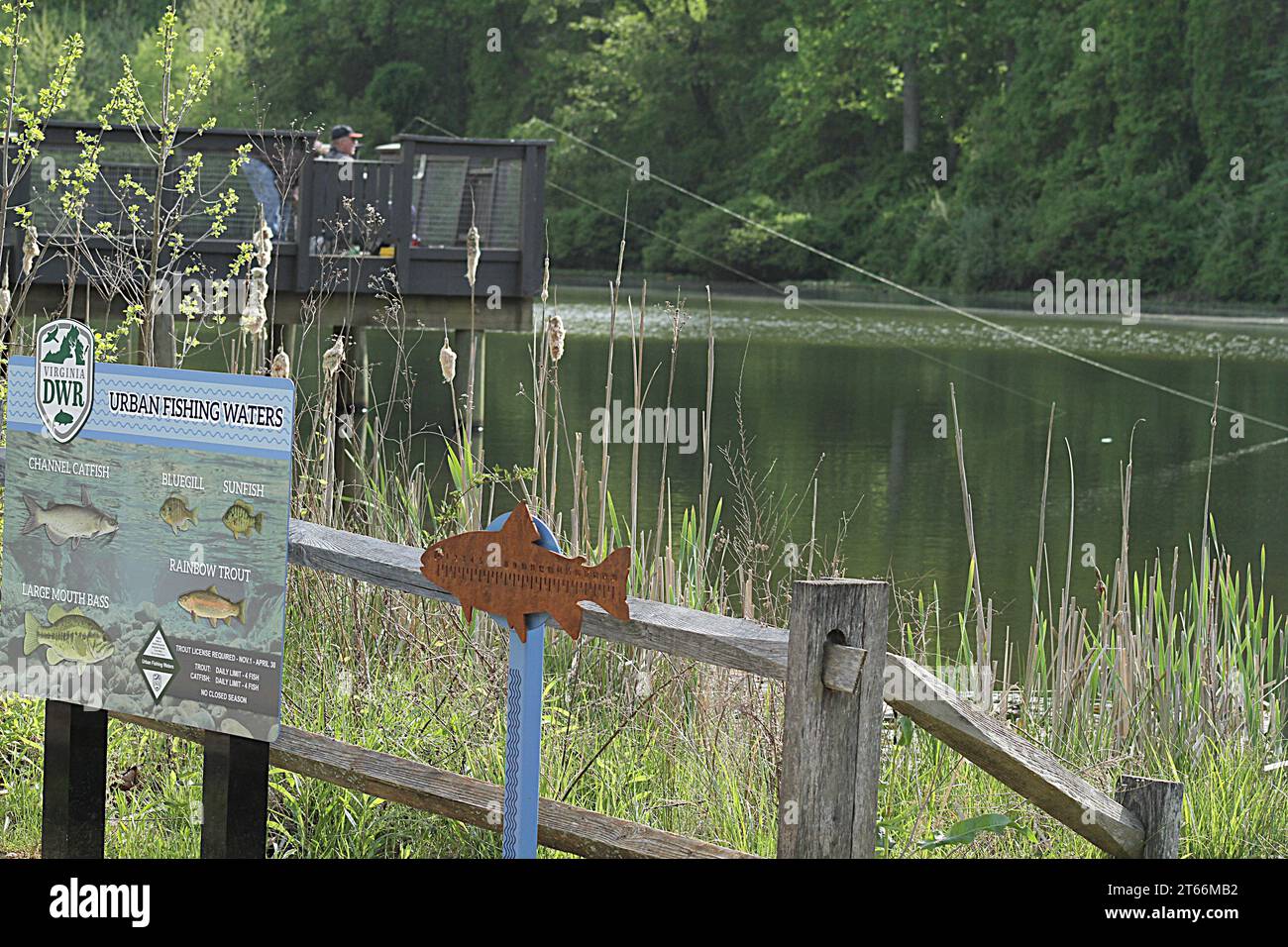Lynchburg, VA, USA. Informationspanel des Virginia Department of Wildlife Resources am Ivy Creek Lake, einem beliebten Angelplatz in der Stadt. Stockfoto