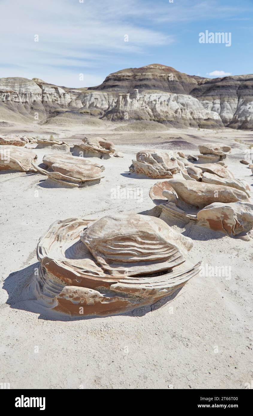 Die bizarren Formationen von Bisti Badlands, New Mexico Stockfoto