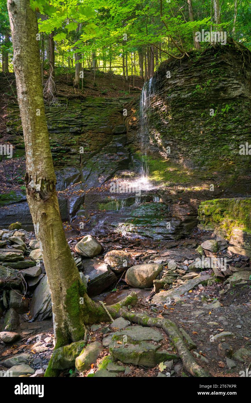 Abgeschiedener Wasserfall in den Finger Lakes von Upstate New York Stockfoto