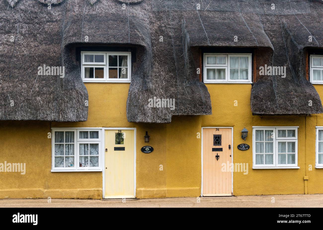 Attraktive gelb getünchte Strohhütten im Dorf Biddenham, Bedfordshire, Großbritannien Stockfoto