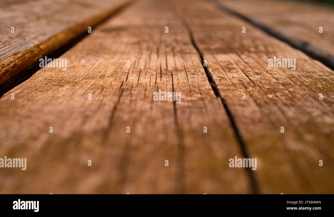Holzlatten in warmen Tönen mit viel Textur und geringer Feldtiefe. Hintergrund- und Vorlagenkonzept. Stockfoto