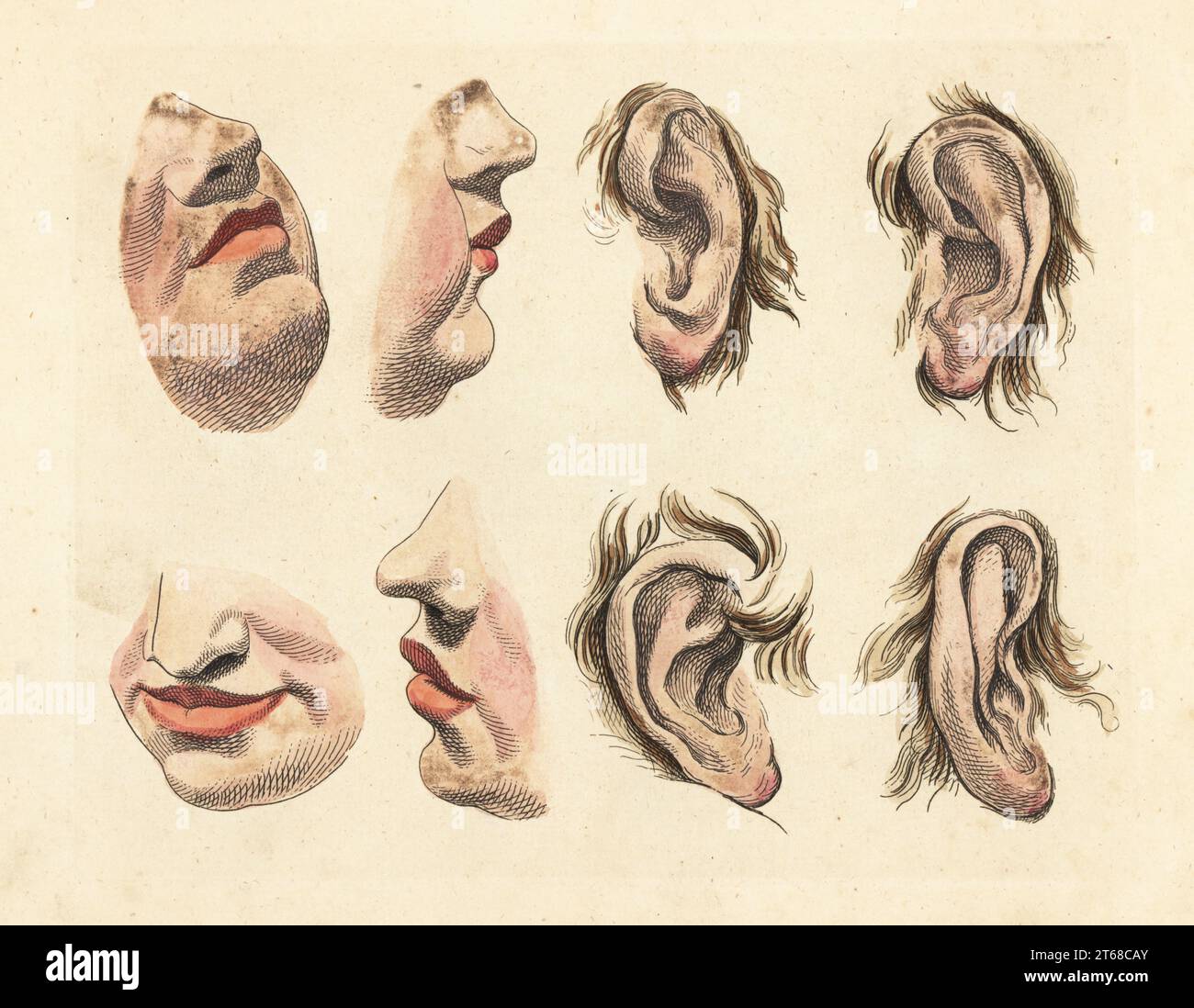 Figuren von Nasen, Kinn, Mund, Lippen und Ohren aus Gemälden alter Meister in einem Kunstlehrbuch des 18. Jahrhunderts. Handkolorierter Kupferstich von Robert Sayers The Artists Vade Mecum, Being the Whole Art of Drawing, London, 1766. Stockfoto