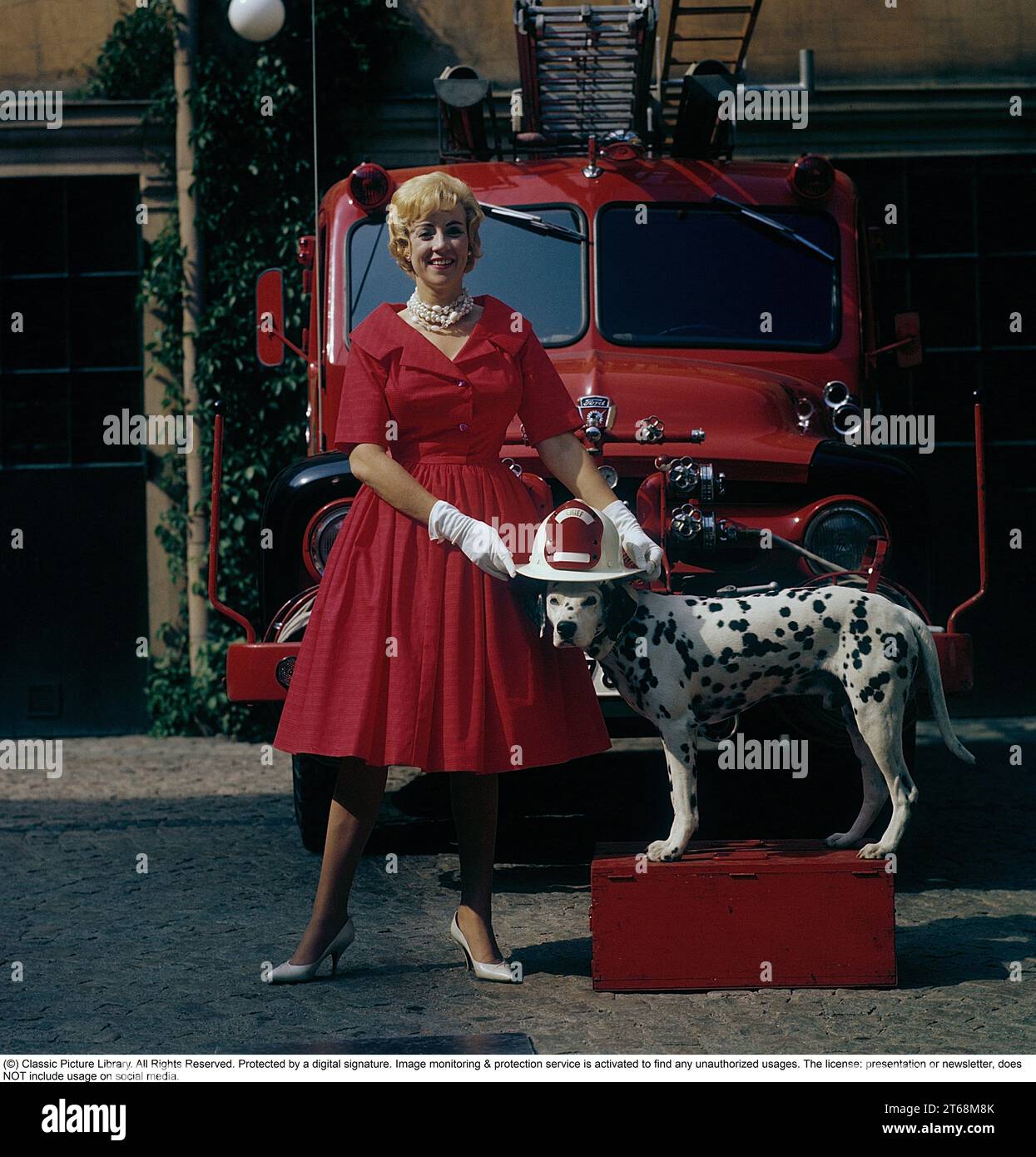 In den 1950er Jahren modisch. Eine junge Frau in einem roten Kleid, weißen Handschuhen und weißen Schuhen steht zusammen mit einem dalmatinischen Hund mit einem amerikanischen Feuerwehrhelm vor einem Ford-Feuerwehrauto. Der Dalmatier ist traditionell ein Maskottchen der Feuerwehr. Schweden 1958 Ref. CV68-2 Stockfoto