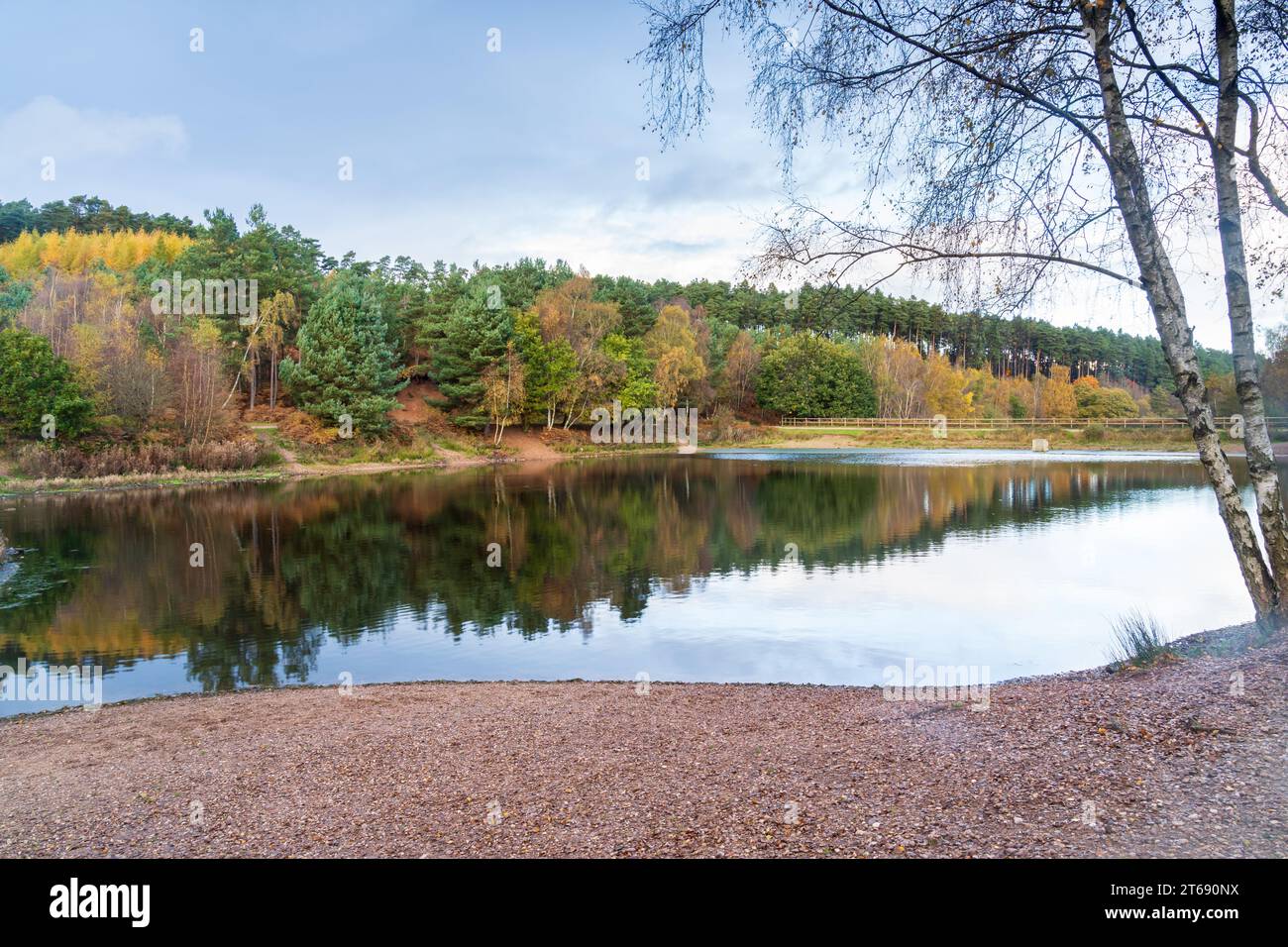 Lake in Cannock Chase Area of Natural Beauty AONB im Herbst mit Herbstfarben auf Bäumen Stockfoto