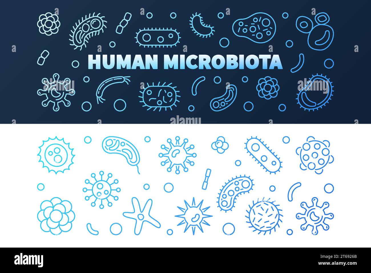 Set mit 2 blauen horizontalen Bannern für menschliche Mikrobiota. Vektorfarbene Konzeptabbildung in dünner Linie Stock Vektor